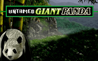 Untamed - Giant Panda