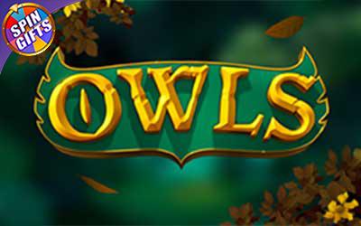 Owls