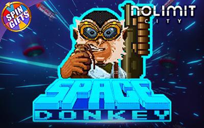 Space Donkey