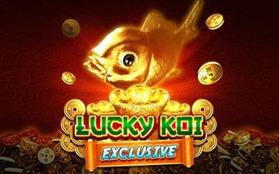 Lucky Koi Exclusive